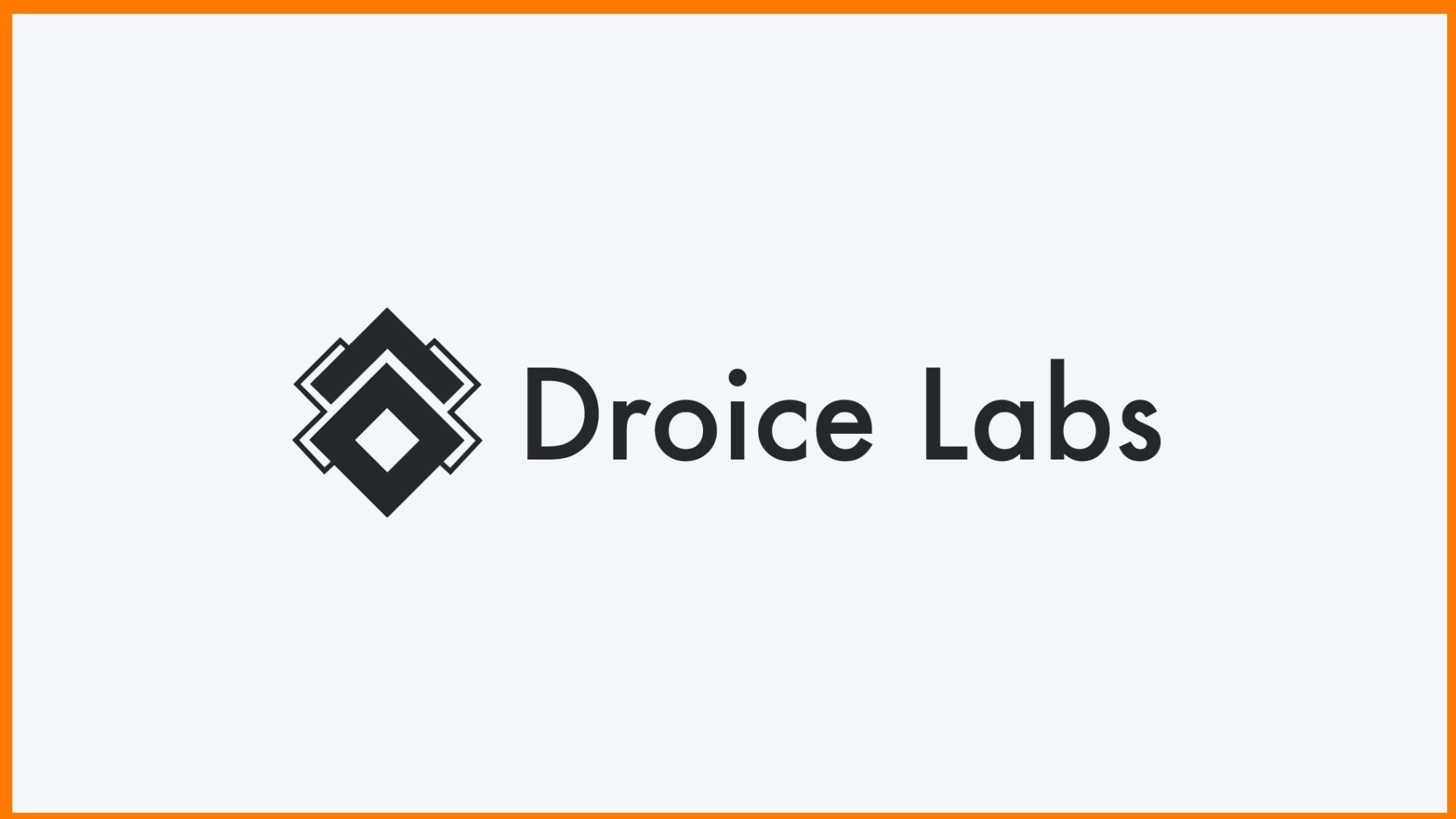 Droice Labs Logo