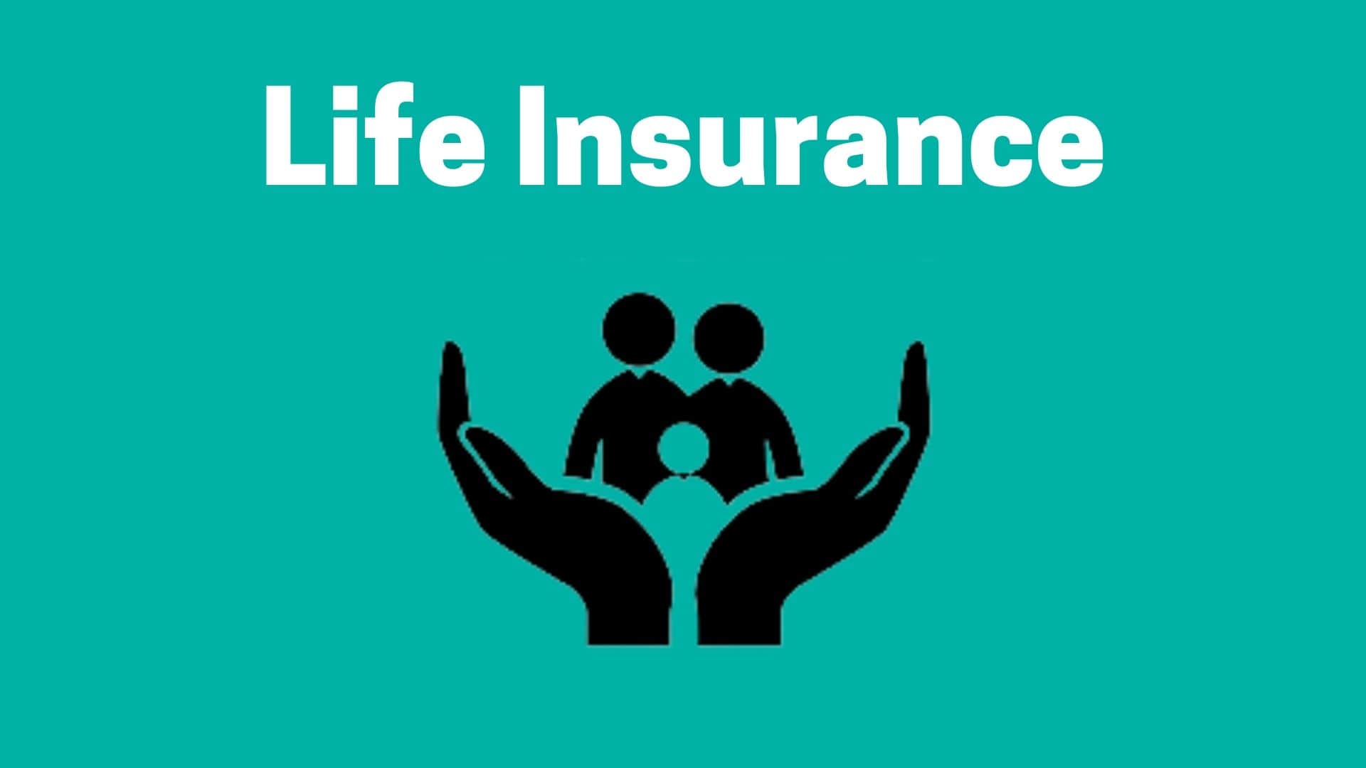 Everything You Need To Know About Life Insurance Insurance Industry Everything You Need To Know About Life Insurance Insurance Industry